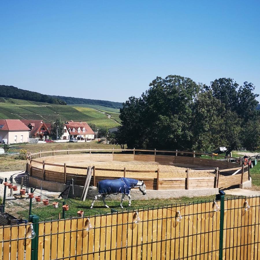 La Galipette, Charmant Chalet En Champagne Fleury-la-Riviere Zewnętrze zdjęcie